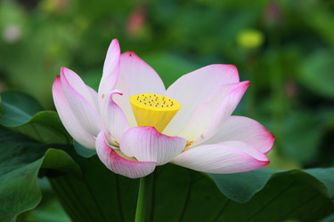 Similar image 11797256