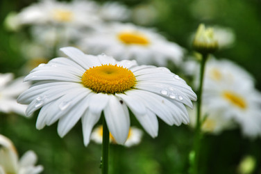 Similar image 11798121