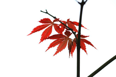 Similar image 11798456