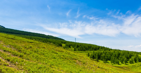 Similar image 11798642