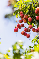 Similar image 11798820