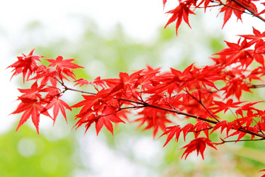 Similar image 11799061