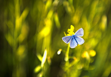 Similar image 11786004