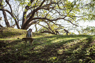 Similar image 11786115