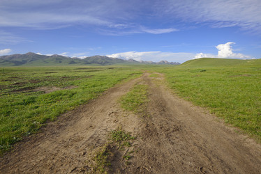 Similar image 11786195