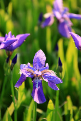 Similar image 11786420