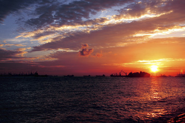 Similar image 11786461