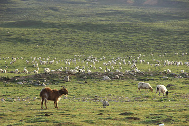 Similar image 11786510