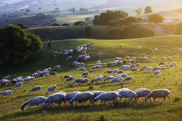 Similar image 11786680