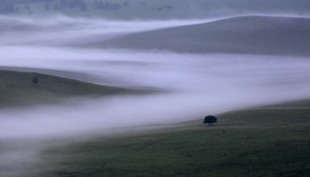 Similar image 11786716