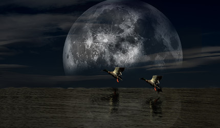 Similar image 11786810