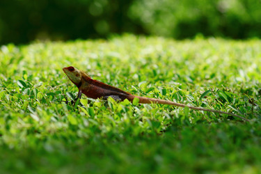 Similar image 11787629