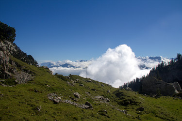 Similar image 11787906