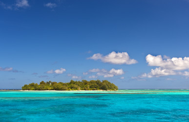 Similar image 11788174