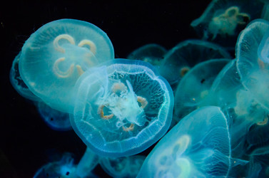 Similar image 11788075