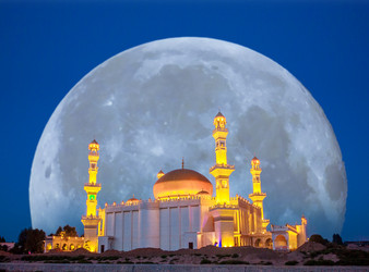 Similar image 11788489