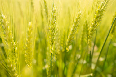 Similar image 11789454