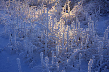 Similar image 11789300