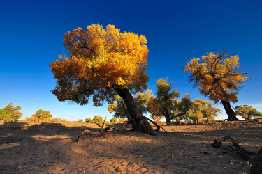 Similar image 11789687