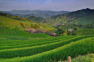 Similar image 11789952