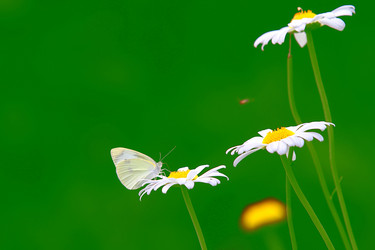 Similar image 11794057