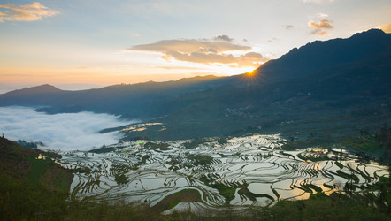 Similar image 11794474