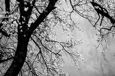 Similar image 11794611