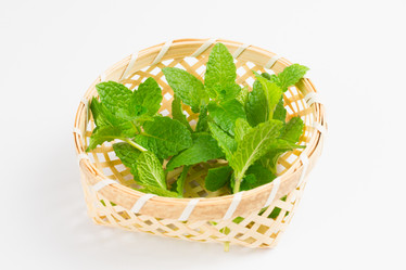 Similar image 11794887