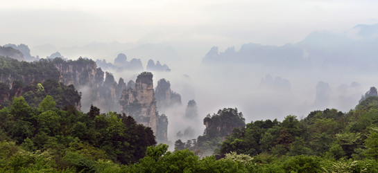 Similar image 11794922