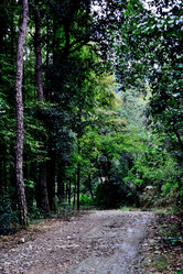 Similar image 11794988