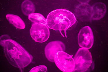 Similar image 11795322