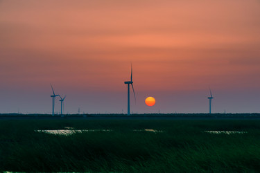 Similar image 11795424