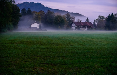 Similar image 11797257