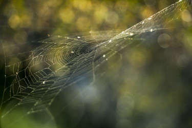 Similar image 11797189