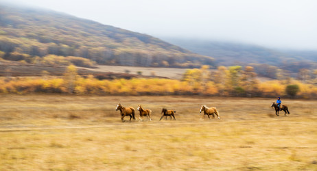 Similar image 11797337