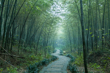 Similar image 11797361