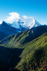 Similar image 11797528