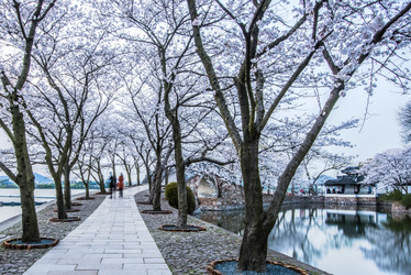 Similar image 11797589