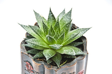 Similar image 11797669