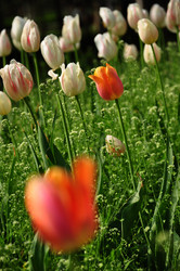 Similar image 11797782