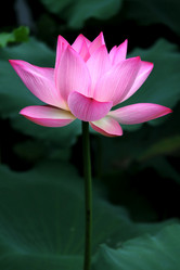 Similar image 11798483