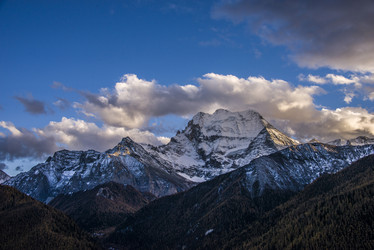 Similar image 11798564