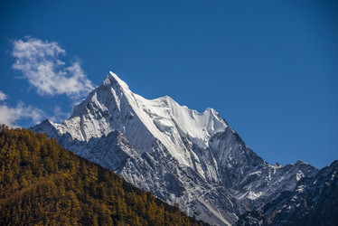 Similar image 11798591