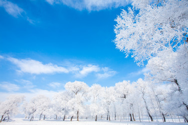 Similar image 11798643