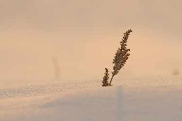 Similar image 11799156