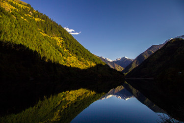 Similar image 11799270