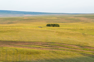 Similar image 11799306