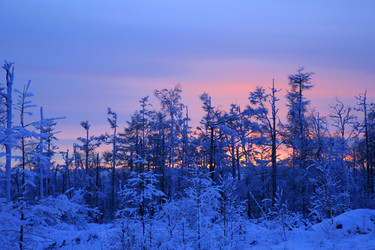 Similar image 11799380