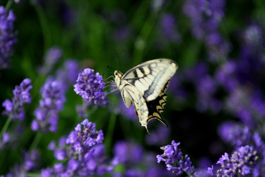 Similar image 11785966