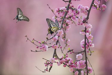 Similar image 11786042